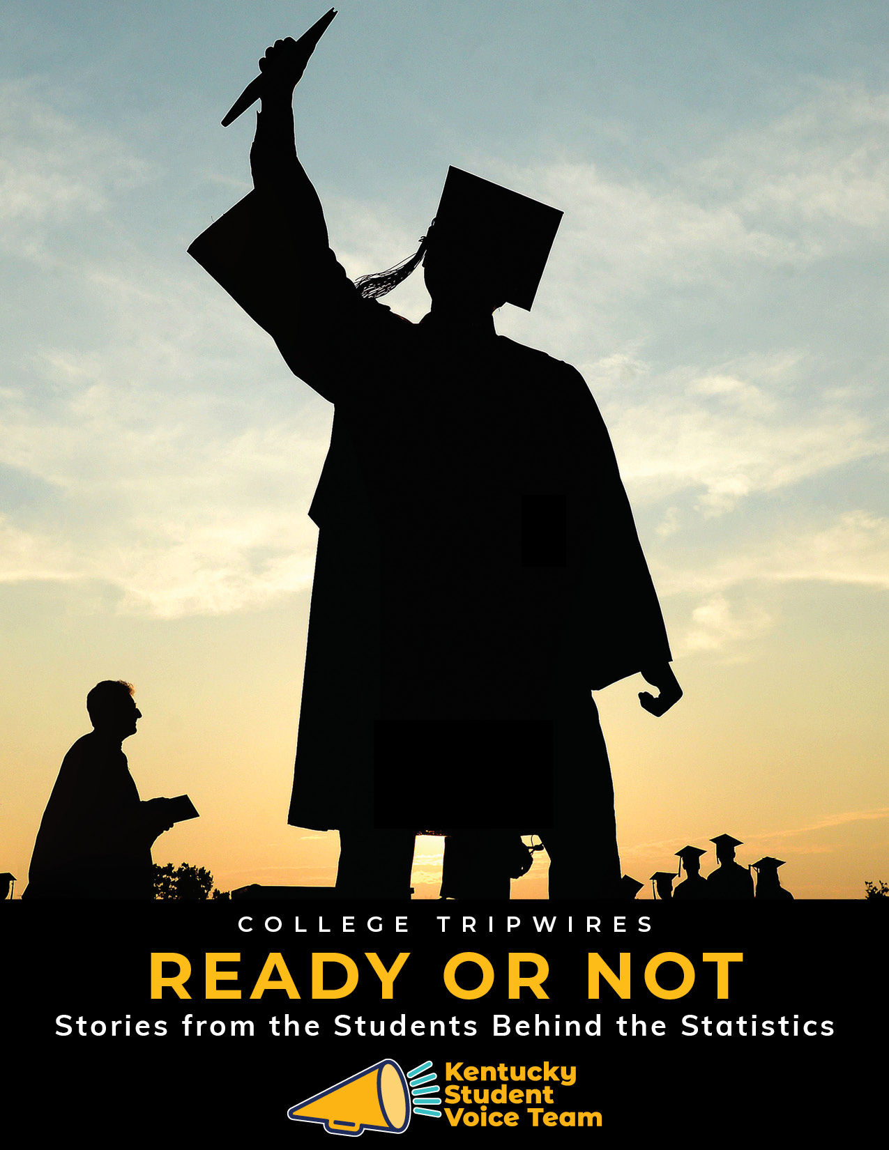 Cover of Ready or Not: Stories from the Students Behind the Statistics